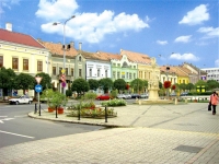 Képek
